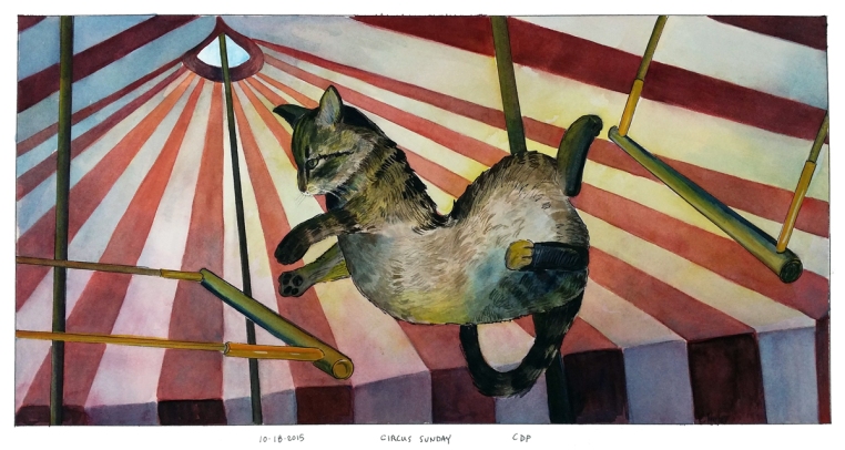 Circus cat on a trapeze.