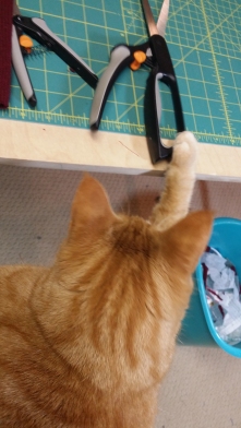 Ginger cat with scissors