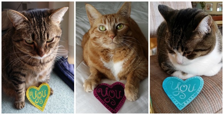 Cats with Valentines.
