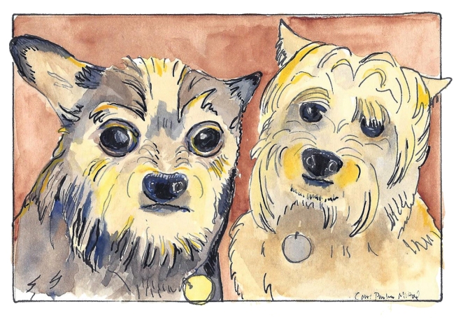 Watercolor painting of two cute dogs.